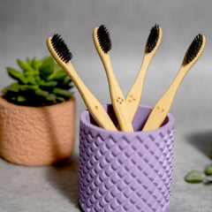 Yearly Oral Care Pack - neevolife